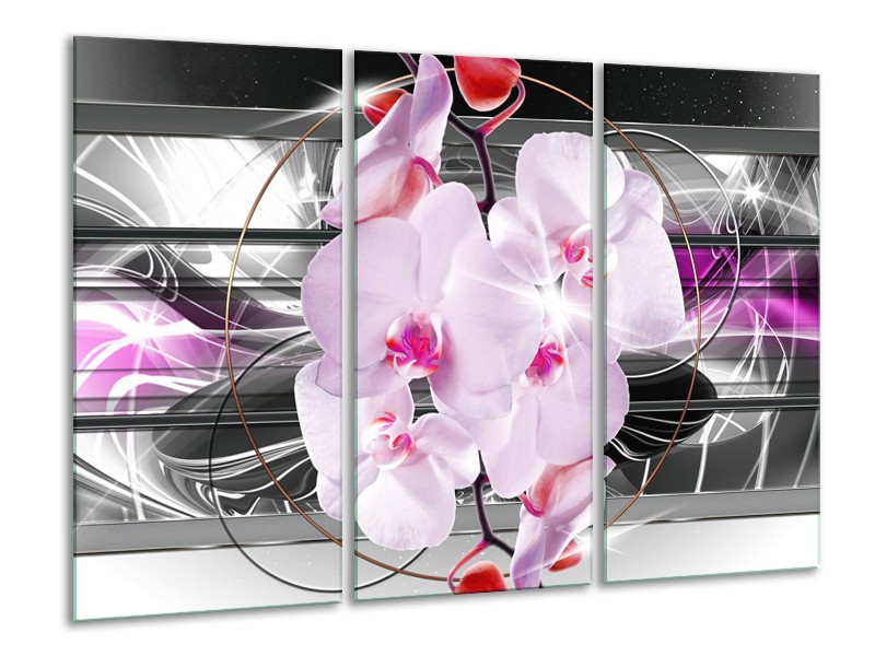 Glasschilderij Orchidee, Bloemen | Grijs, Paars | 120x80cm 3Luik
