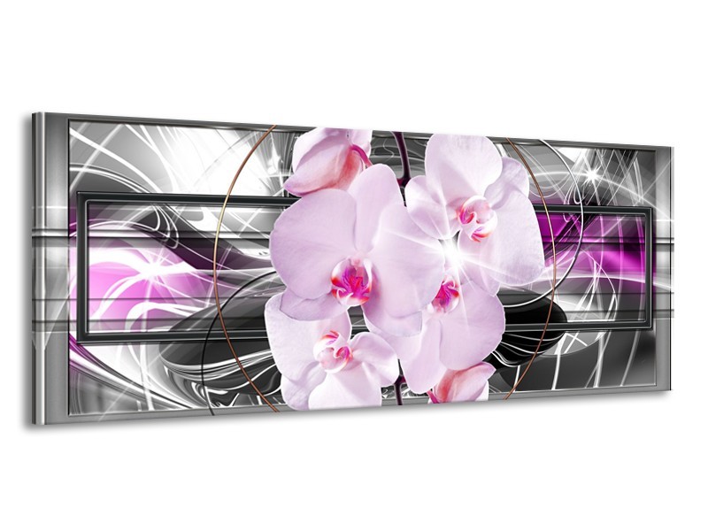 Glasschilderij Orchidee, Bloemen | Grijs, Paars | 145x58cm 1Luik