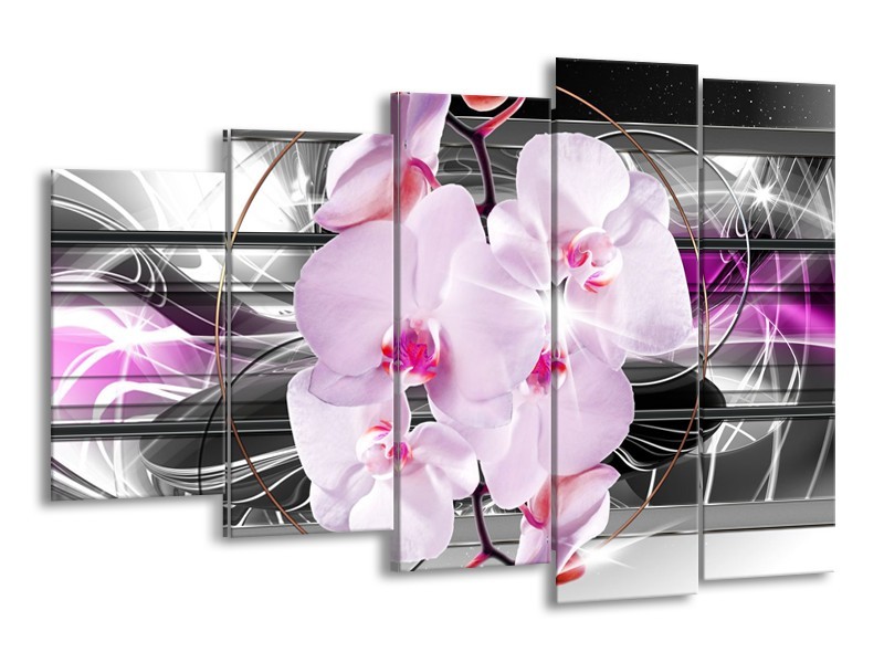 Glasschilderij Orchidee, Bloemen | Grijs, Paars | 150x100cm 5Luik