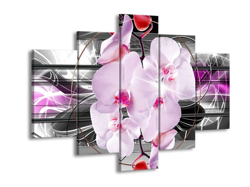 Canvas Schilderij Orchidee, Bloemen | Grijs, Paars | 150x105cm 5Luik