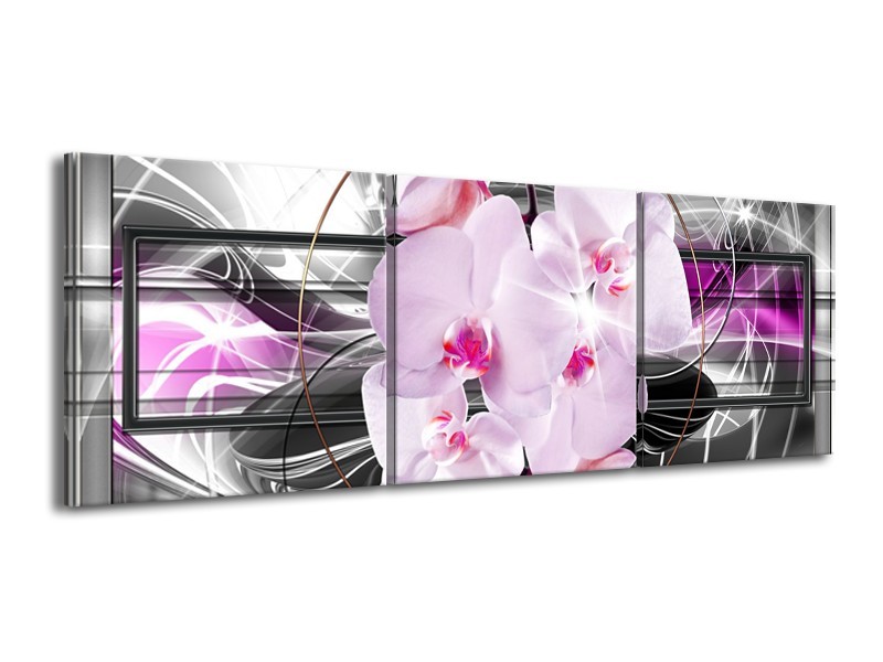 Glasschilderij Orchidee, Bloemen | Grijs, Paars | 150x50cm 3Luik