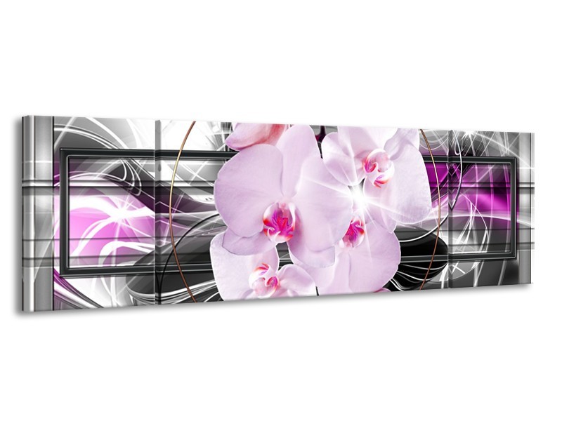 Canvas Schilderij Orchidee, Bloemen | Grijs, Paars | 170x50cm 3Luik