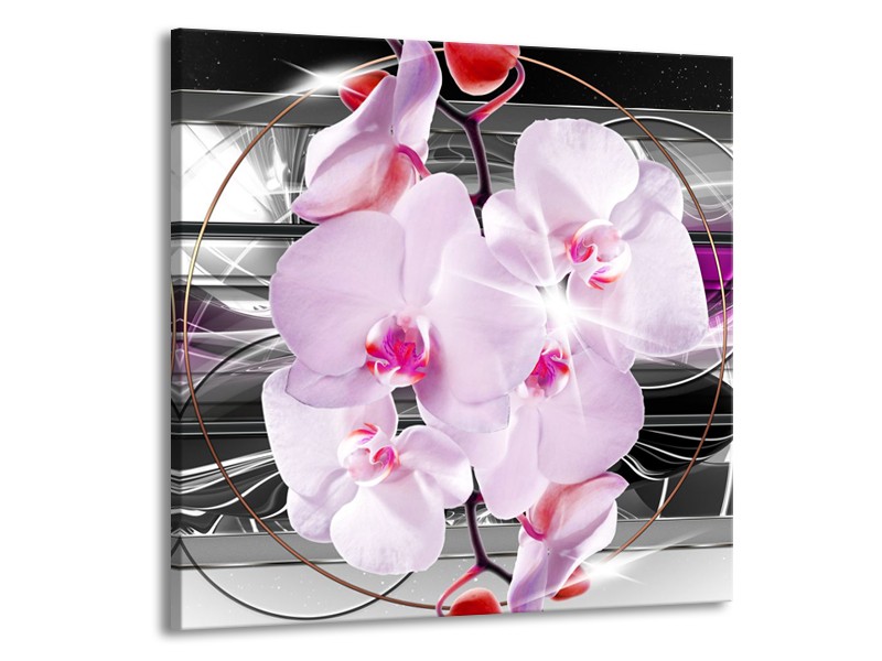 Glasschilderij Orchidee, Bloemen | Grijs, Paars | 50x50cm 1Luik