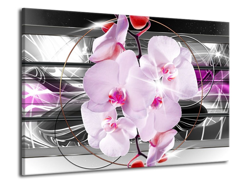 Canvas Schilderij Orchidee, Bloemen | Grijs, Paars | 70x50cm 1Luik