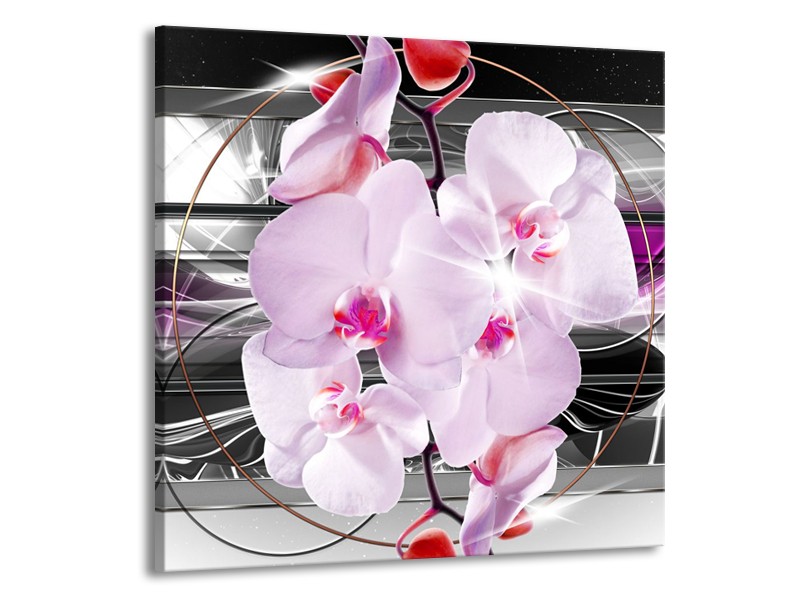 Canvas Schilderij Orchidee, Bloemen | Grijs, Paars | 70x70cm 1Luik