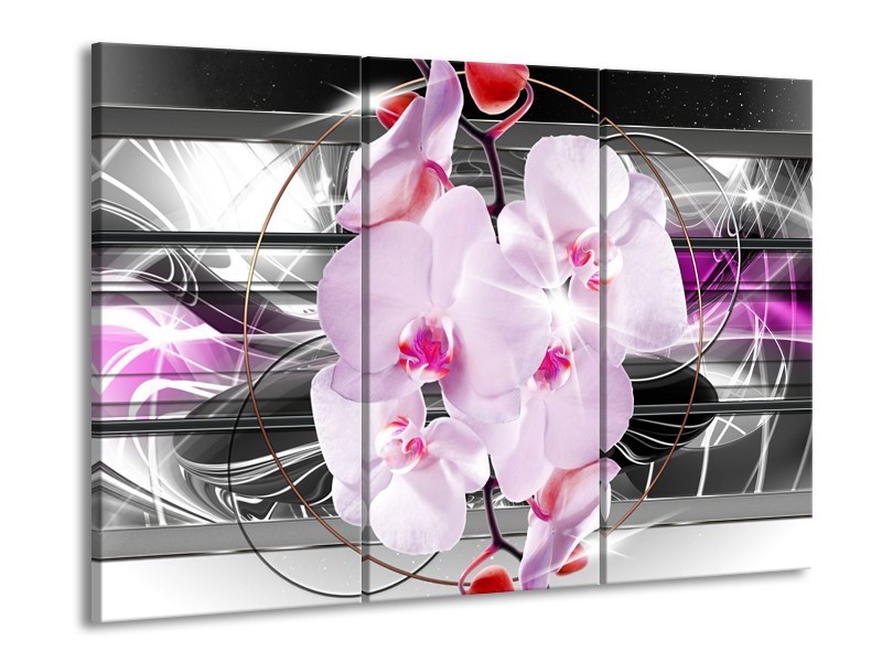 Glasschilderij Orchidee, Bloemen | Grijs, Paars | 60x90cm 3Luik