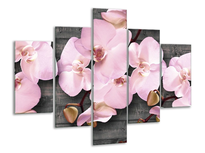 Glasschilderij Orchidee, Bloemen | Grijs, Roze | 100x70cm 5Luik