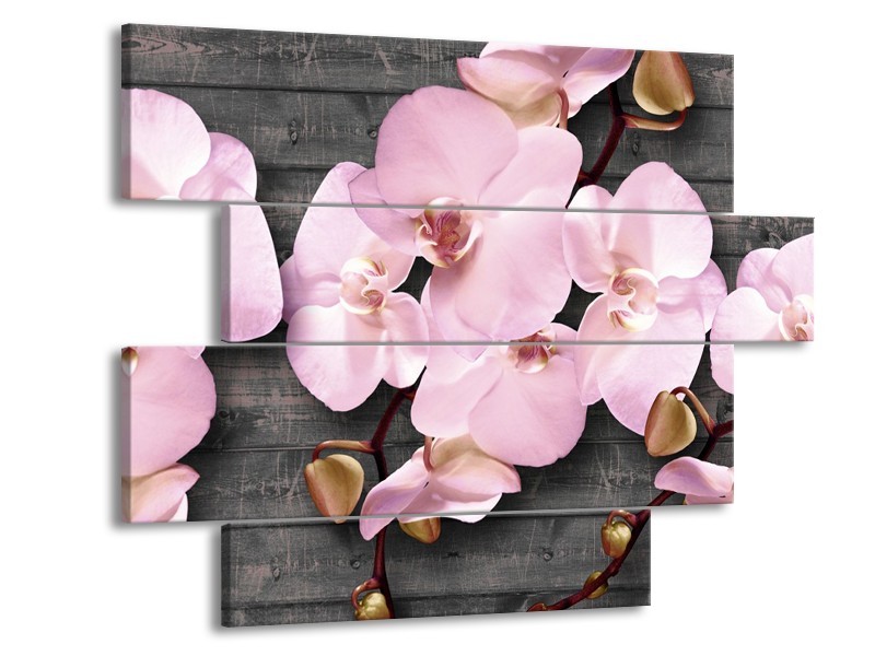 Canvas Schilderij Orchidee, Bloemen | Grijs, Roze | 115x85cm 4Luik