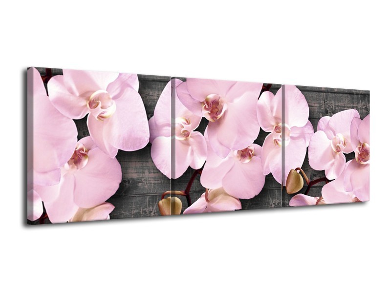 Canvas Schilderij Orchidee, Bloemen | Grijs, Roze | 120x40cm 3Luik