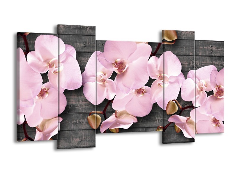 Canvas Schilderij Orchidee, Bloemen | Grijs, Roze | 120x65cm 5Luik
