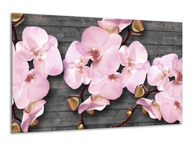Glasschilderij Orchidee, Bloemen | Grijs, Roze | 120x70cm 1Luik