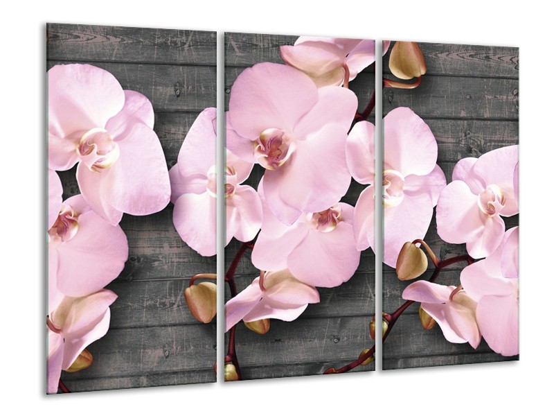 Canvas Schilderij Orchidee, Bloemen | Grijs, Roze | 120x80cm 3Luik