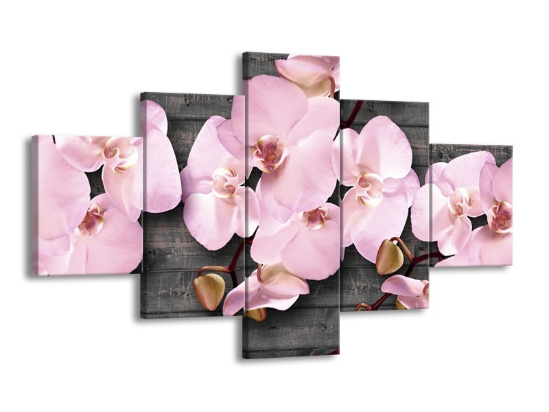 Canvas Schilderij Orchidee, Bloemen | Grijs, Roze | 125x70cm 5Luik