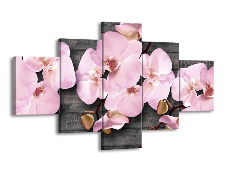 Glasschilderij Orchidee, Bloemen | Grijs, Roze | 125x70cm 5Luik