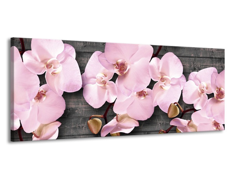 Canvas Schilderij Orchidee, Bloemen | Grijs, Roze | 145x58cm 1Luik