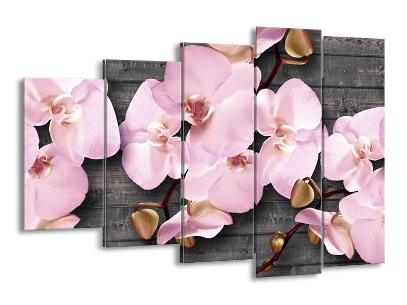 Canvas Schilderij Orchidee, Bloemen | Grijs, Roze | 150x100cm 5Luik