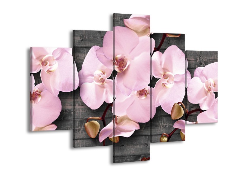 Glasschilderij Orchidee, Bloemen | Grijs, Roze | 150x105cm 5Luik