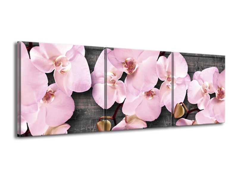 Canvas Schilderij Orchidee, Bloemen | Grijs, Roze | 150x50cm 3Luik