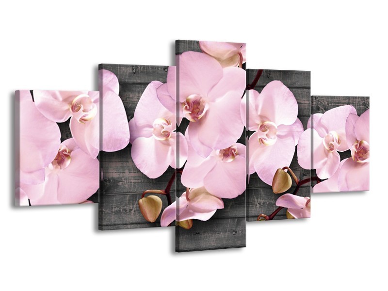 Canvas Schilderij Orchidee, Bloemen | Grijs, Roze | 150x80cm 5Luik