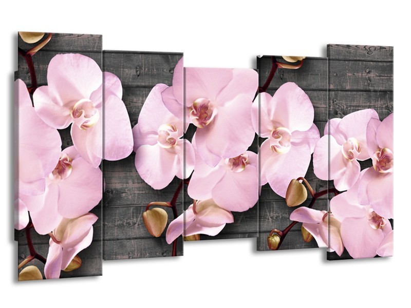 Glasschilderij Orchidee, Bloemen | Grijs, Roze | 150x80cm 5Luik