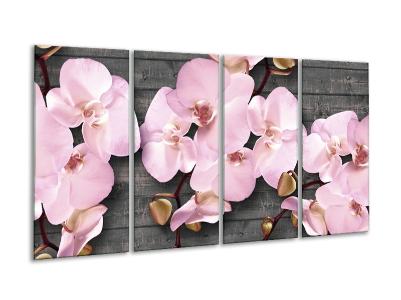 Canvas Schilderij Orchidee, Bloemen | Grijs, Roze | 160x80cm 4Luik