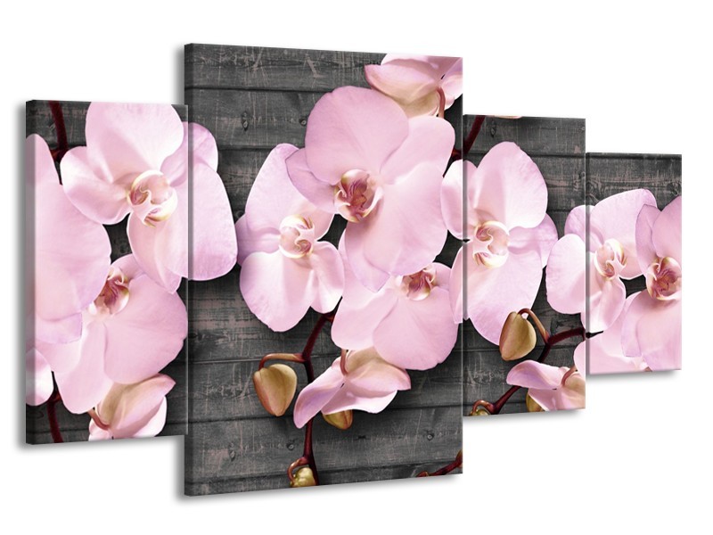 Glasschilderij Orchidee, Bloemen | Grijs, Roze | 160x90cm 4Luik