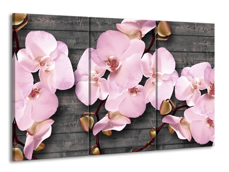 Canvas Schilderij Orchidee, Bloemen | Grijs, Roze | 165x100cm 3Luik