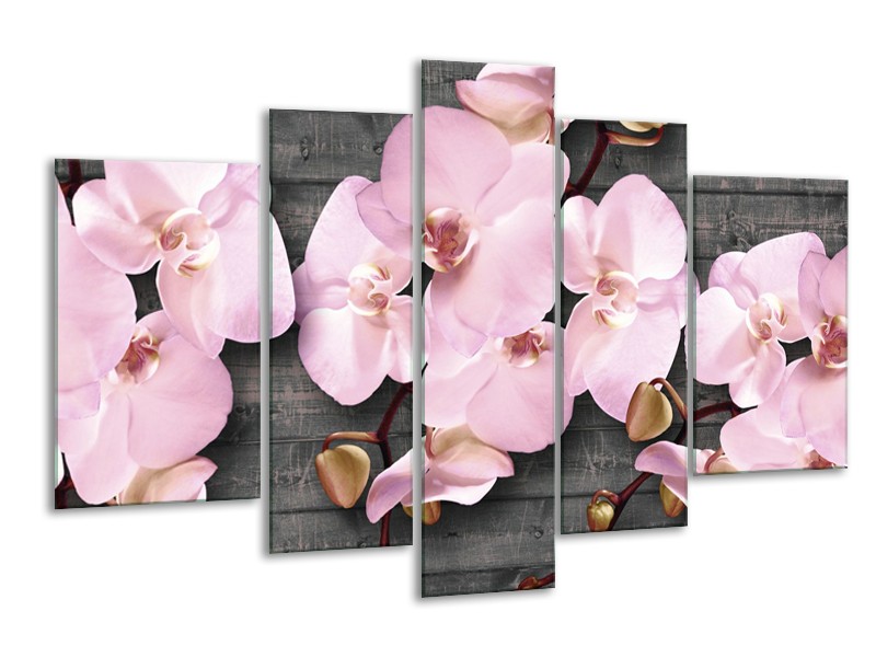 Glasschilderij Orchidee, Bloemen | Grijs, Roze | 170x100cm 5Luik