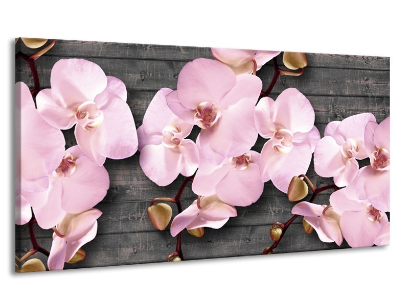 Canvas Schilderij Orchidee, Bloemen | Grijs, Roze | 170x90cm 1Luik