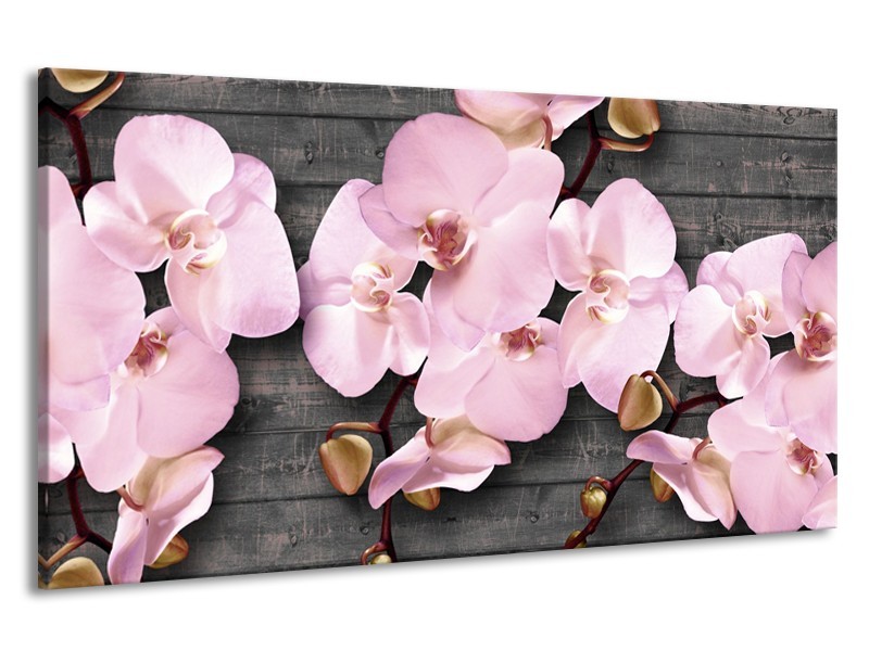 Canvas Schilderij Orchidee, Bloemen | Grijs, Roze | 190x100cm 1Luik