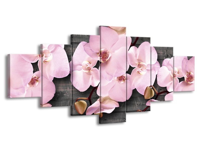 Canvas Schilderij Orchidee, Bloemen | Grijs, Roze | 210x100cm 7Luik