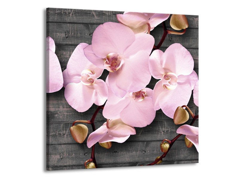 Canvas Schilderij Orchidee, Bloemen | Grijs, Roze | 50x50cm 1Luik