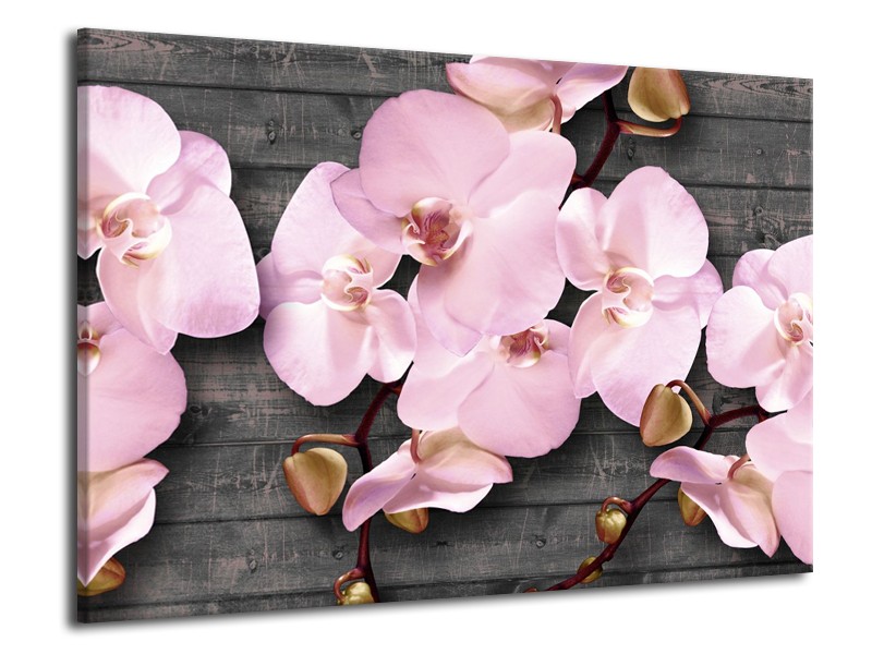 Canvas Schilderij Orchidee, Bloemen | Grijs, Roze | 70x50cm 1Luik