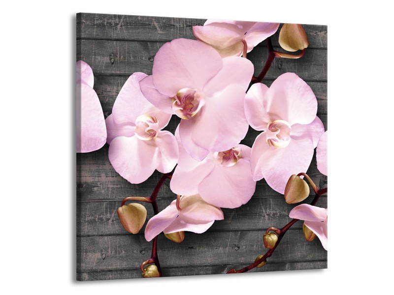 Glasschilderij Orchidee, Bloemen | Grijs, Roze | 70x70cm 1Luik