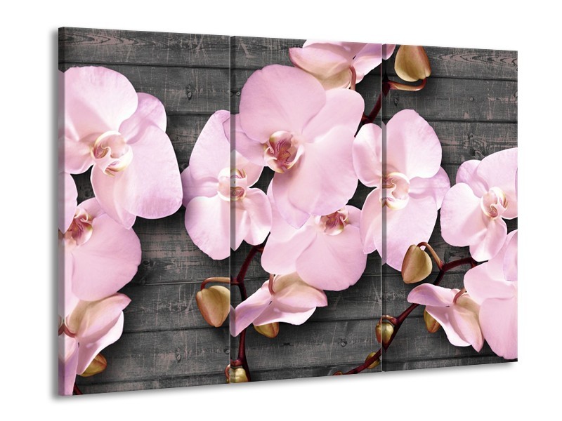 Canvas Schilderij Orchidee, Bloemen | Grijs, Roze | 60x90cm 3Luik