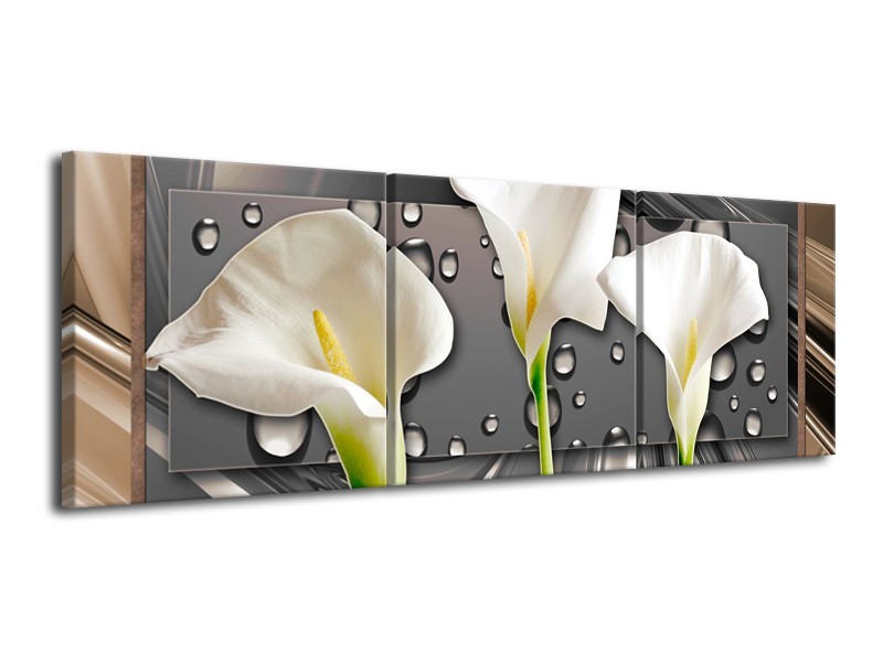 Canvas Schilderij Bloemen, Modern | Grijs, Bruin | 120x40cm 3Luik