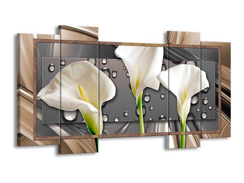 Canvas Schilderij Bloemen, Modern | Grijs, Bruin | 120x65cm 5Luik