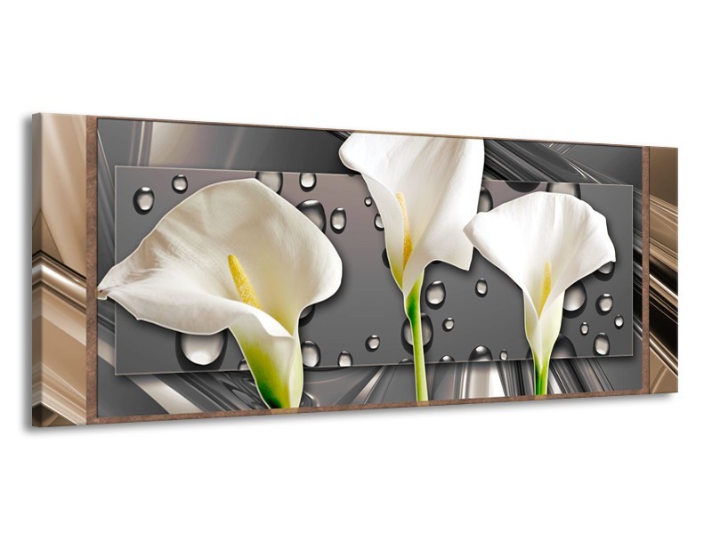 Canvas Schilderij Bloemen, Modern | Grijs, Bruin | 145x58cm 1Luik