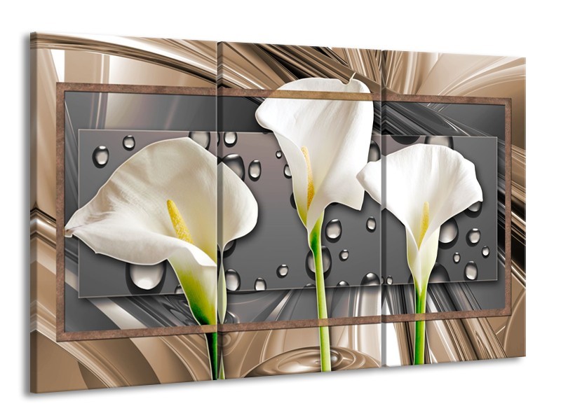 Canvas Schilderij Bloemen, Modern | Grijs, Bruin | 165x100cm 3Luik