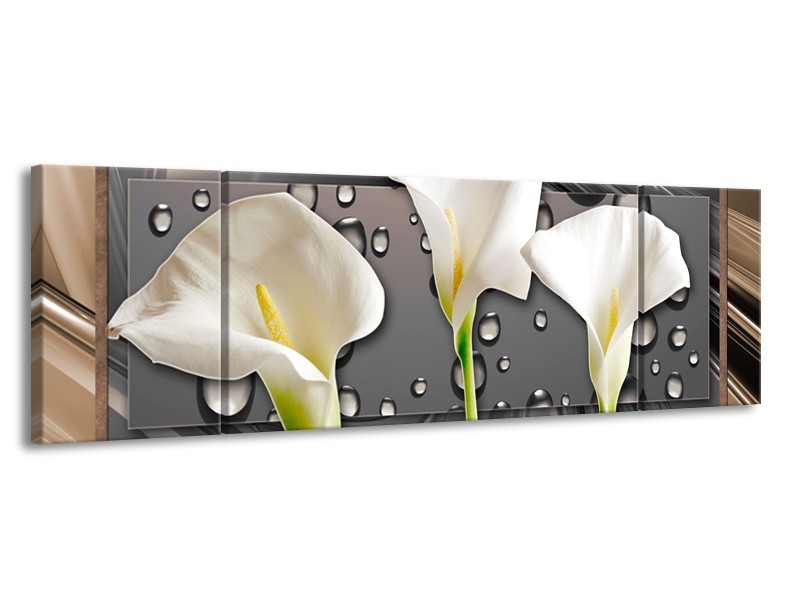 Canvas Schilderij Bloemen, Modern | Grijs, Bruin | 170x50cm 3Luik