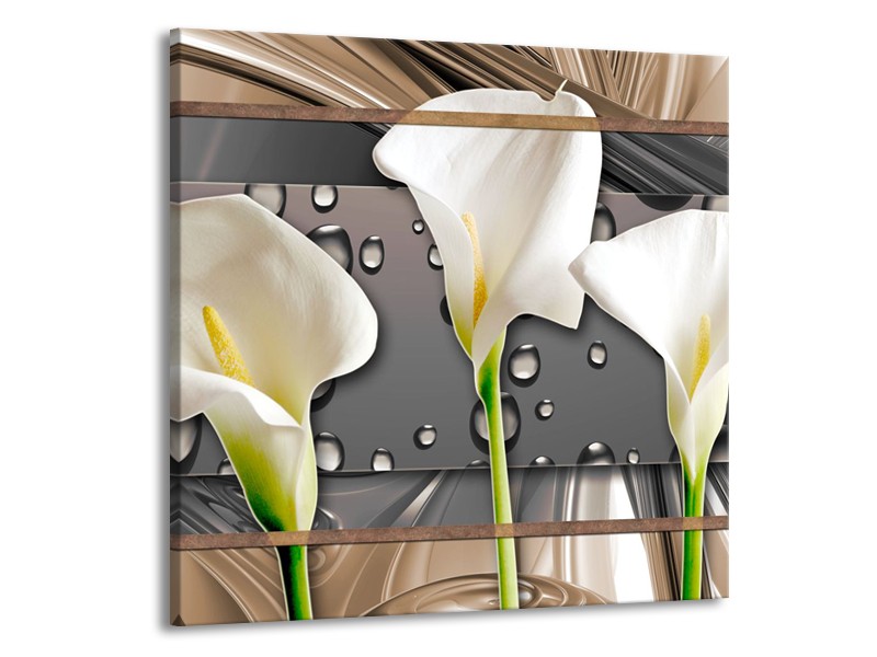 Canvas Schilderij Bloemen, Modern | Grijs, Bruin | 50x50cm 1Luik