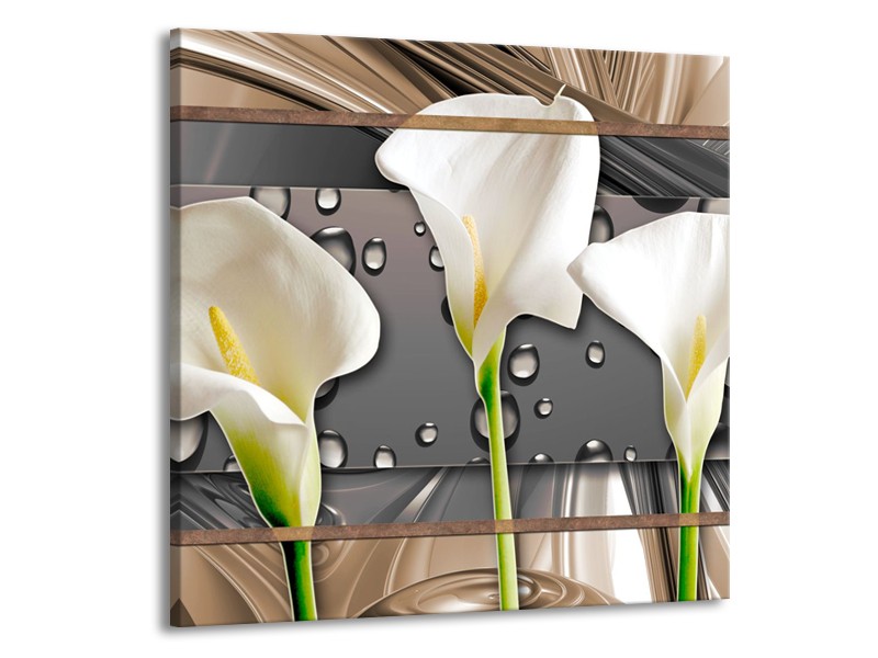 Canvas Schilderij Bloemen, Modern | Grijs, Bruin | 70x70cm 1Luik