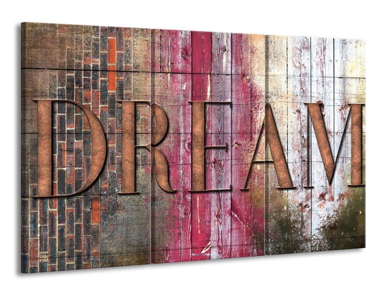 Canvas Schilderij Landelijk, Dream | Grijs, Roze | 165x100cm 3Luik