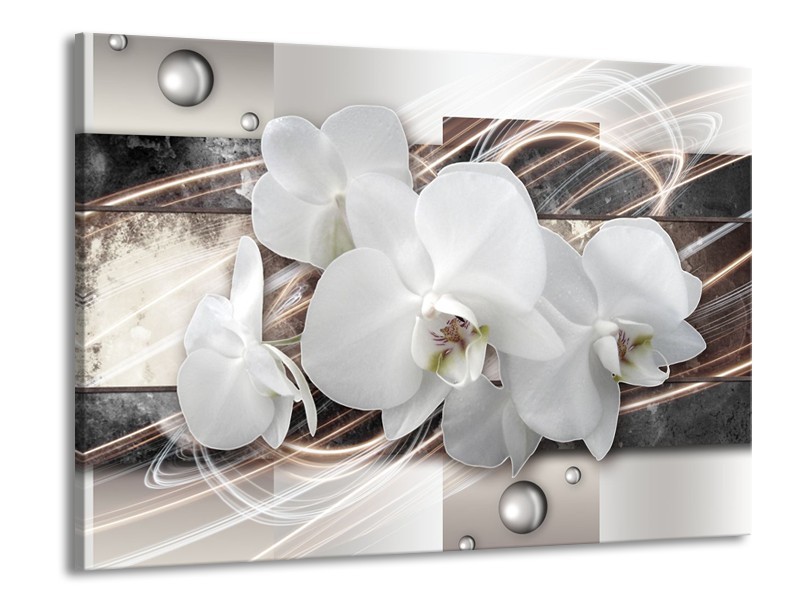 Glasschilderij Orchidee, Bloemen | Grijs, Wit | 100x70cm 1Luik