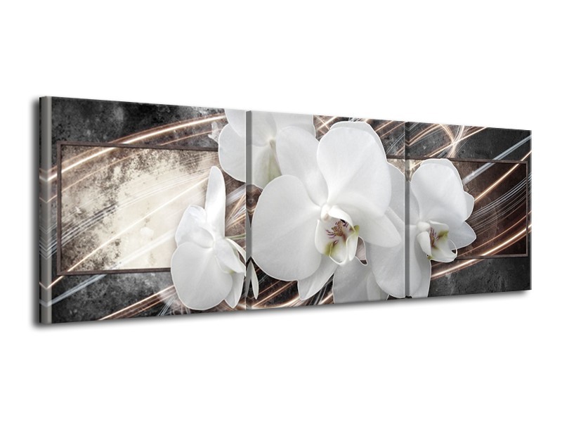Canvas Schilderij Orchidee, Bloemen | Grijs, Wit | 120x40cm 3Luik