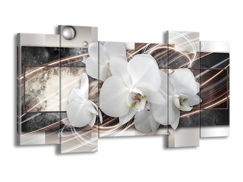 Glasschilderij Orchidee, Bloemen | Grijs, Wit | 120x65cm 5Luik