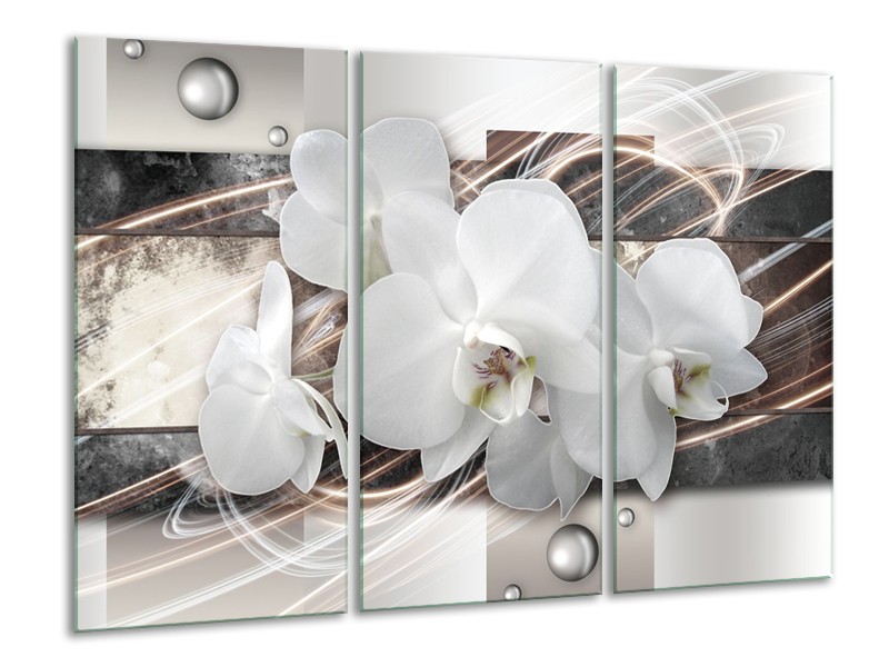 Canvas Schilderij Orchidee, Bloemen | Grijs, Wit | 120x80cm 3Luik
