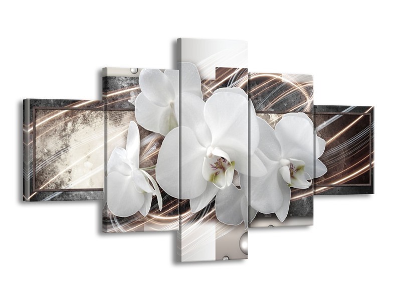 Glasschilderij Orchidee, Bloemen | Grijs, Wit | 125x70cm 5Luik