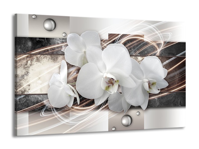 Canvas Schilderij Orchidee, Bloemen | Grijs, Wit | 140x90cm 1Luik