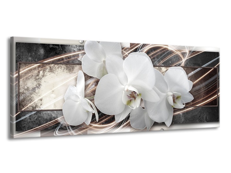 Canvas Schilderij Orchidee, Bloemen | Grijs, Wit | 145x58cm 1Luik